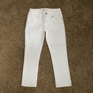 American Eagle Outfitters Artist Crop Stretch Jean